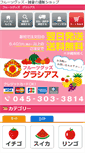 Mobile Screenshot of fruits-goods.com